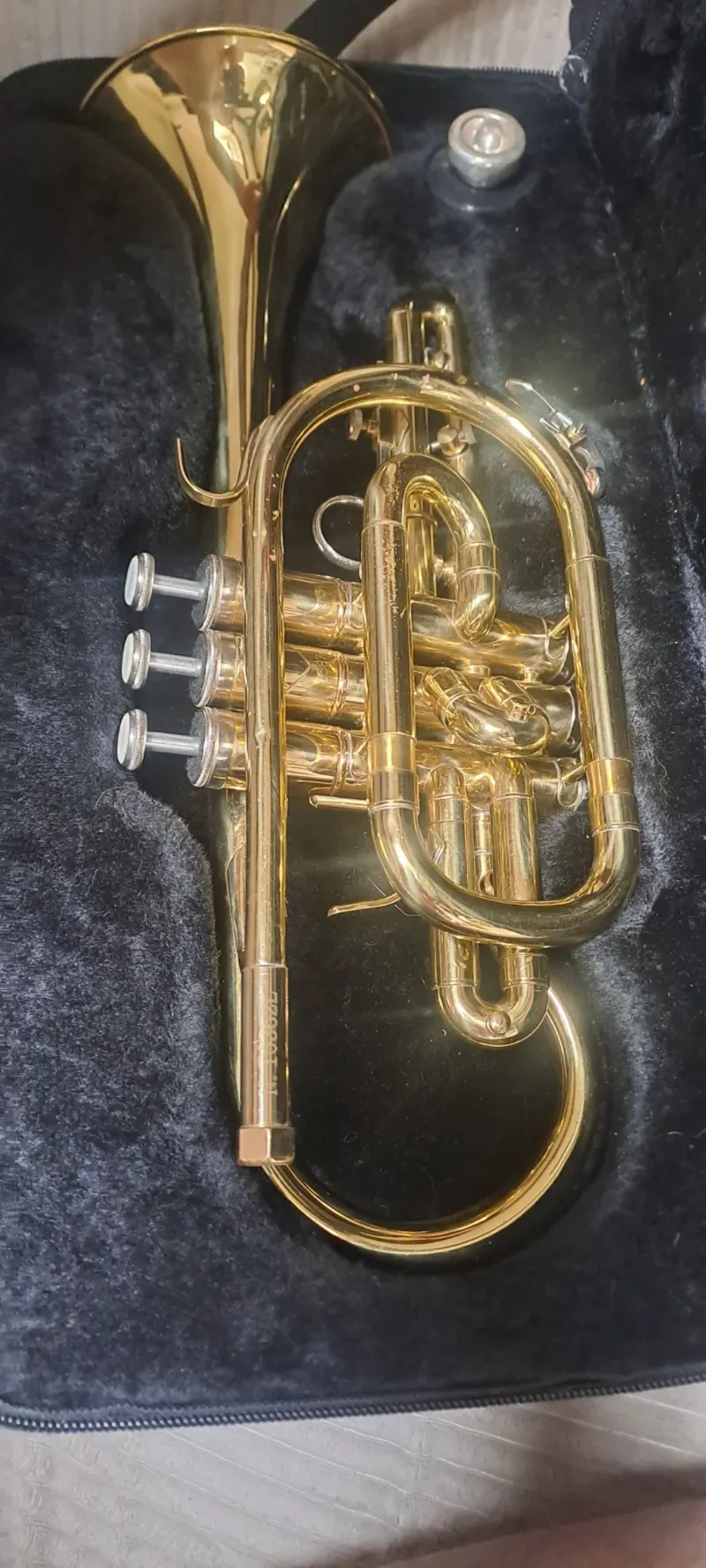 Location cornet a piston  77-TC Stagg